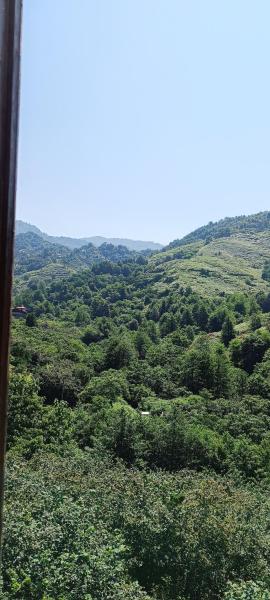 Дом для отдыха близко Батуми, Batumi